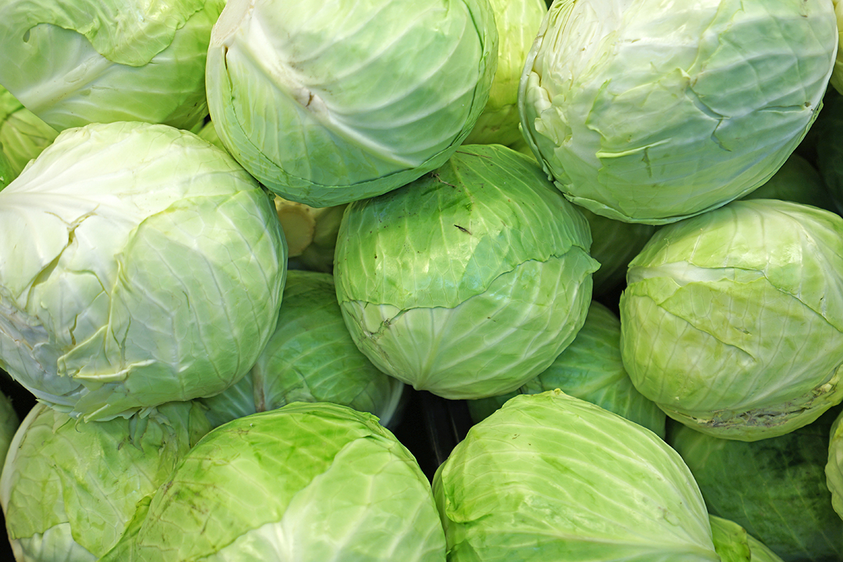 Kraut Steirergem se Kraut Steirergem se